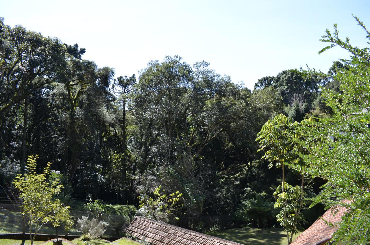 Chales Dona Zenta Monte Verde  Exterior photo